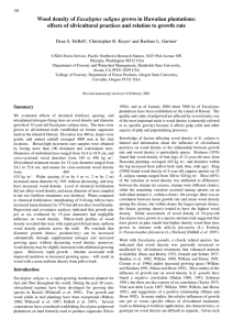 Eucalyptus saligna effects of silvicultural practices and relation to growth rate