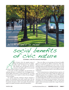 A  social benefits of civic nature