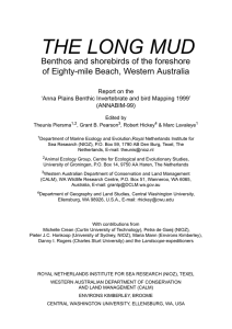 THE LONG MUD Benthos and shorebirds of the foreshore Report on the