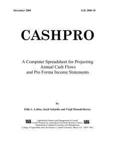 CASHPRO  A Computer Spreadsheet for Projecting Annual Cash Flows