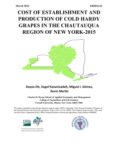 COST OF ESTABLISHMENT AND PRODUCTION OF COLD HARDY GRAPES IN THE CHAUTAUQUA