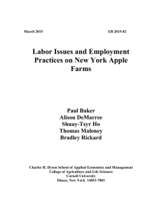 Labor Issues and Employment Practices on New York Apple Farms