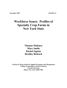 Workforce Issues:  Profiles of Specialty Crop Farms in New York State