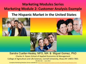 Marketing Modules Series Marketing Module 2: Customer Analysis Example