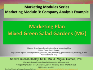 Marketing Modules Series Marketing Module 3: Company Analysis Example