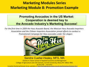 Marketing Modules Series Marketing Module 8: Promotion Example