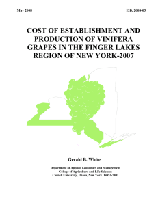 COST OF ESTABLISHMENT AND PRODUCTION OF VINIFERA GRAPES IN THE FINGER LAKES