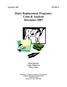 Dairy Replacement Programs: Costs &amp; Analysis December 2007