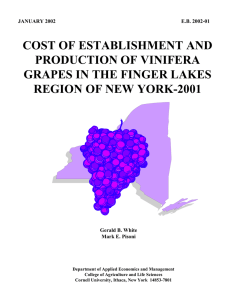 COST OF ESTABLISHMENT AND PRODUCTION OF VINIFERA GRAPES IN THE FINGER LAKES