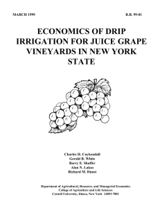 ECONOMICS OF DRIP IRRIGATION FOR JUICE GRAPE VINEYARDS IN NEW YORK STATE