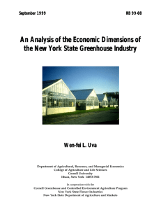 An Analysis of the Economic Dimensions of