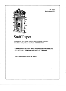 Staff Paper SP 99-02 September 1999