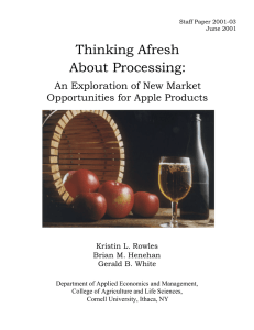 Thinking Afresh About Processing: An Exploration of New Market Opportunities for Apple Products