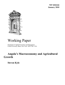 Working Paper Angola’s Macroeconomy and Agricultural Growth