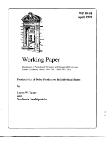 Working Paper April 1999 WP 99-08