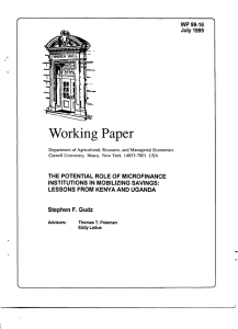 Working Paper WP 99-16 July 1999