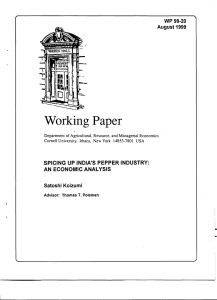 Working Paper WP 99·20 August 1999
