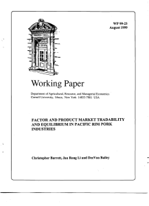 Working Paper WP 99-23 August 1999