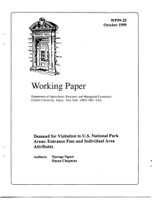 Working Paper