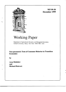 Working Paper WP 99-30 December 1999