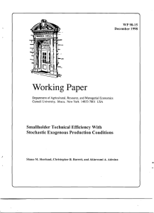 Working Paper WP 98-15 December 1998