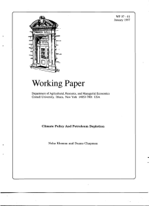 Working Paper