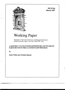 Working Paper WP97·04 March 1997