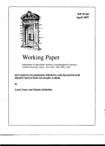 Working Paper WP97-0S April 1997