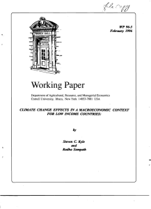 Working Paper WP  96-3 February 1996