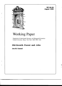 Working Paper