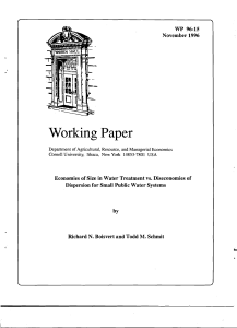 Working Paper WP  96-15 November 1996