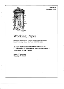 Working Paper WP  95-14 November  1995