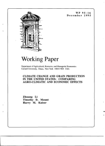 Working Paper WP  95-16 December  1995