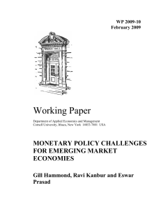 Working Paper MONETARY POLICY CHALLENGES FOR EMERGING MARKET ECONOMIES