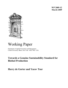 Working Paper Towards a Genuine Sustainability Standard for Biofuel Production