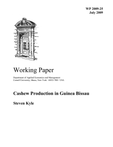 Working Paper Cashew Production in Guinea Bissau  Steven Kyle