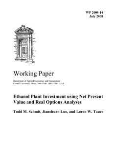 Working Paper Ethanol Plant Investment using Net Present