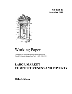 Working Paper LABOR MARKET COMPETITIVENESS AND POVERTY