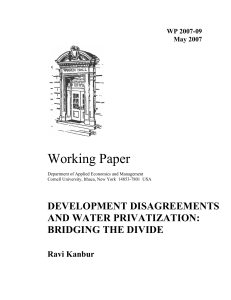 Working Paper DEVELOPMENT DISAGREEMENTS AND WATER PRIVATIZATION: BRIDGING THE DIVIDE