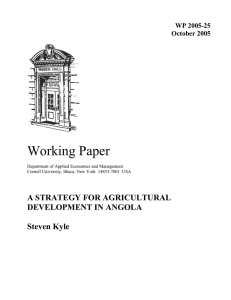Working Paper A STRATEGY FOR AGRICULTURAL DEVELOPMENT IN ANGOLA