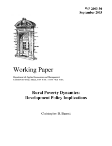 Working Paper Rural Poverty Dynamics: Development Policy Implications WP 2003-30