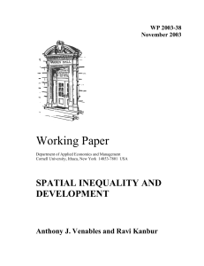 Working Paper SPATIAL INEQUALITY AND DEVELOPMENT