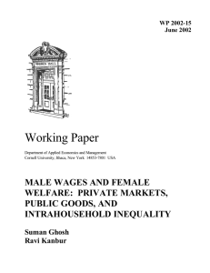 Working Paper MALE WAGES AND FEMALE WELFARE:  PRIVATE MARKETS, PUBLIC GOODS, AND