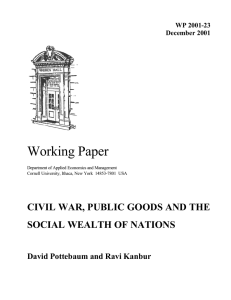 Working Paper CIVIL WAR, PUBLIC GOODS AND THE SOCIAL WEALTH OF NATIONS
