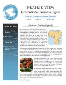 International Business Digest Cameroon – “Africa in Miniature”