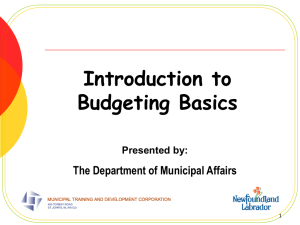 Introduction to Budgeting Basics The Department of Municipal Affairs Presented by: