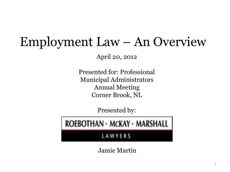 Employment Law An Overview