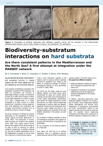 Biodiversity-substratum interactions on hard substrata