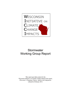 Stormwater Working Group Report