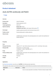 Anti-ACTH antibody ab75683 Product datasheet 1 Image